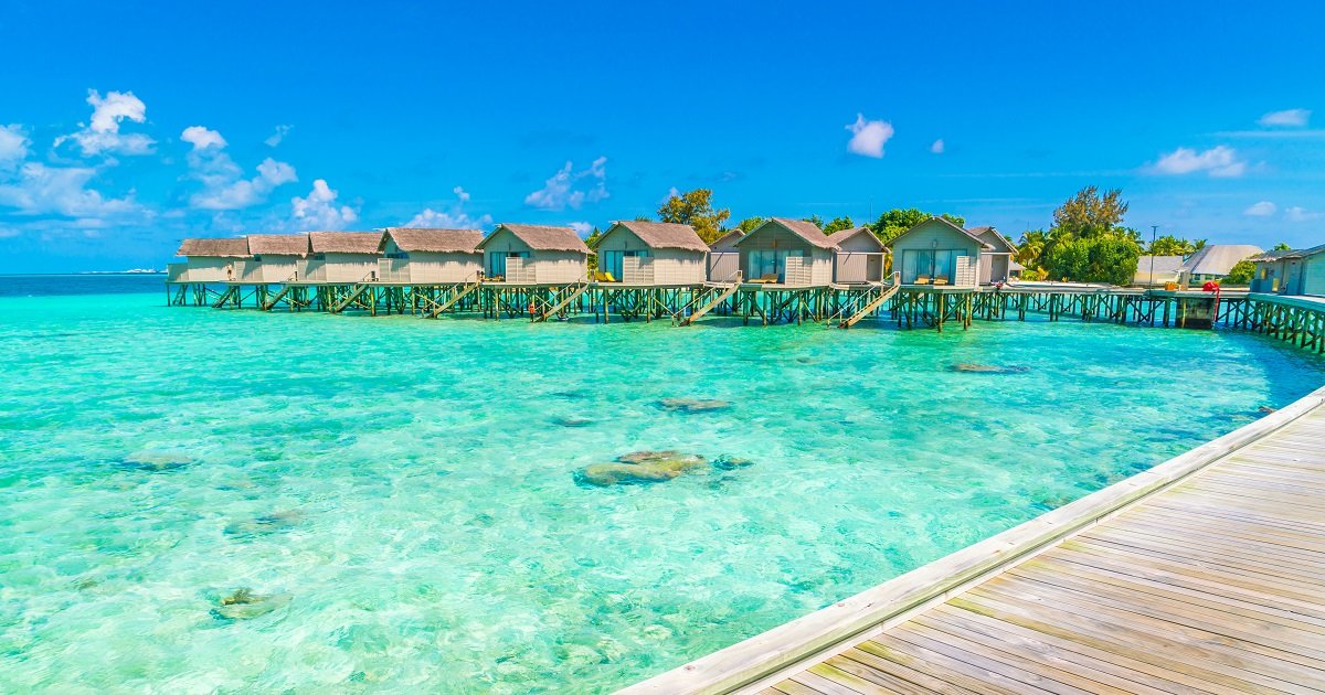 Constance halaveli 5*. Гаафу даалу атолл мальдивы. You me by cocoon maldives 5. Путевка на 1 на мальдивы. Мальдивы cinnamon velifushi maldives.